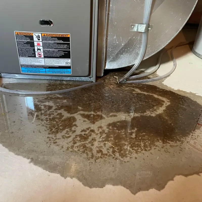 Appliance Leak Cleanup in Grenada, MS